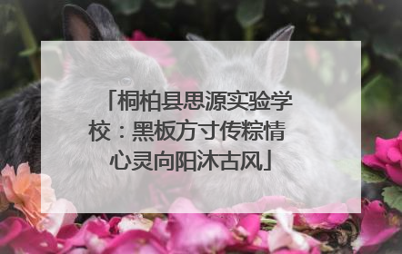 桐柏县思源实验学校：黑板方寸传粽情 心灵向阳沐古风