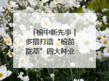 榆中新先事｜多措打造“榆苗陇萃”四大种业育苗品牌