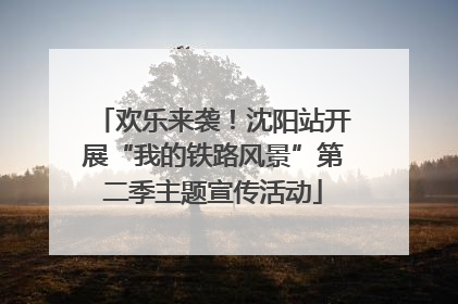 欢乐来袭！沈阳站开展“我的铁路风景”第二季主题宣传活动
