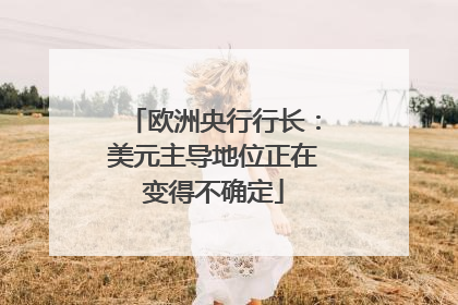 欧洲央行行长：美元主导地位正在变得不确定