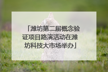 潍坊第二届概念验证项目路演活动在潍坊科技大市场举办