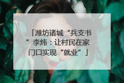 潍坊诸城“兵支书”李炜：让村民在家门口实现“就业”