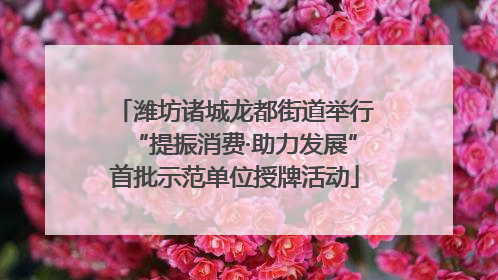 潍坊诸城龙都街道举行“提振消费·助力发展”首批示范单位授牌活动