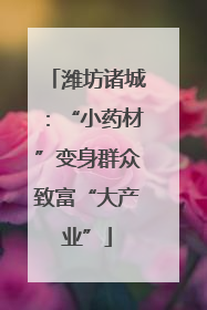 潍坊诸城：“小药材”变身群众致富“大产业”