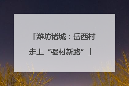 潍坊诸城：岳西村走上“强村新路”