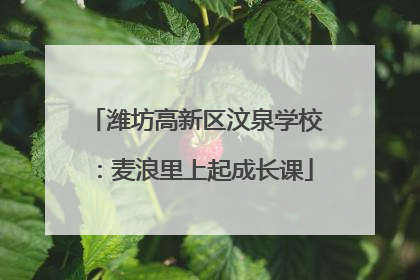潍坊高新区汶泉学校：麦浪里上起成长课