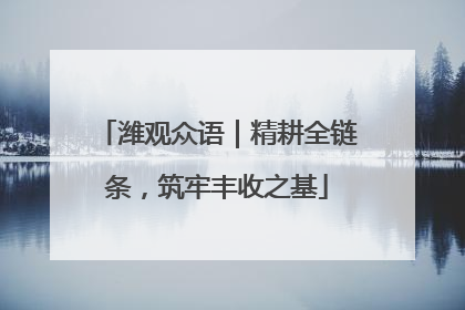 潍观众语｜精耕全链条，筑牢丰收之基