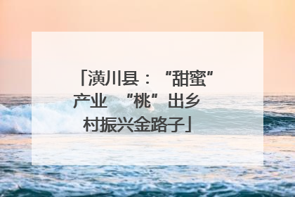 潢川县：“甜蜜”产业  “桃”出乡村振兴金路子