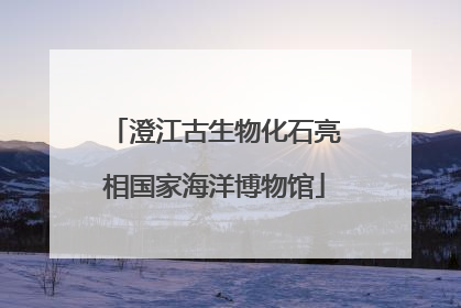 澄江古生物化石亮相国家海洋博物馆