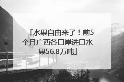 水果自由来了！前5个月广西各口岸进口水果56.8万吨