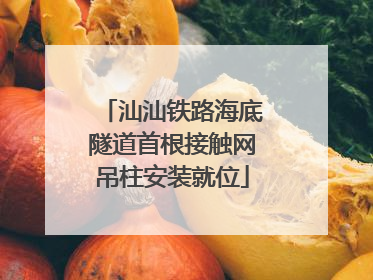 汕汕铁路海底隧道首根接触网吊柱安装就位
