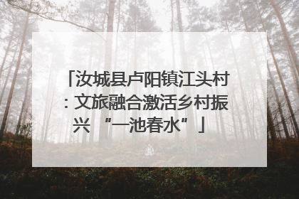 汝城县卢阳镇江头村：文旅融合激活乡村振兴 “一池春水”