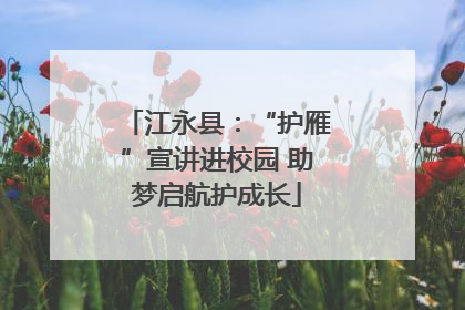 江永县：“护雁”宣讲进校园 助梦启航护成长
