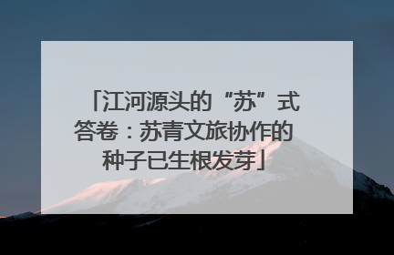 江河源头的“苏”式答卷：苏青文旅协作的种子已生根发芽