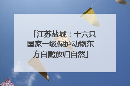 江苏盐城：十六只国家一级保护动物东方白鹳放归自然