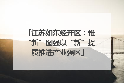 江苏如东经开区：惟“新”图强以“新”提质推进产业强区