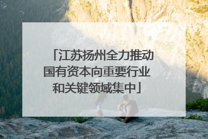 江苏扬州全力推动国有资本向重要行业和关键领域集中