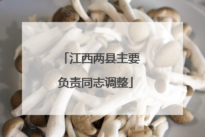 江西两县主要负责同志调整