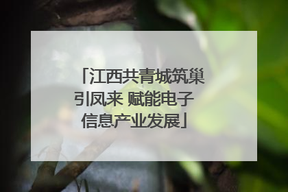 江西共青城筑巢引凤来 赋能电子信息产业发展