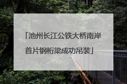 池州长江公铁大桥南岸首片钢桁梁成功吊装