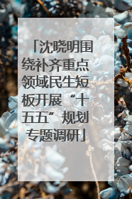 沈晓明围绕补齐重点领域民生短板开展“十五五”规划专题调研