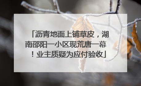 沥青地面上铺草皮，湖南邵阳一小区现荒唐一幕！业主质疑为应付验收