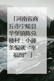 河南省商丘市宁陵县华堡镇陈兑楼村：小藤条编就“幸福图”