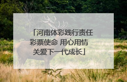 河南体彩践行责任彩票使命 用心用情关爱下一代成长