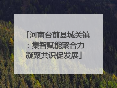 河南台前县城关镇：集智赋能聚合力 凝聚共识促发展