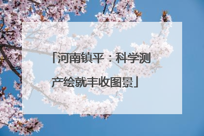 河南镇平：科学测产绘就丰收图景