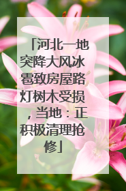 河北一地突降大风冰雹致房屋路灯树木受损，当地：正积极清理抢修