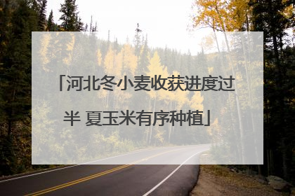 河北冬小麦收获进度过半 夏玉米有序种植