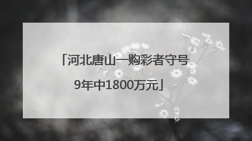 河北唐山一购彩者守号9年中1800万元
