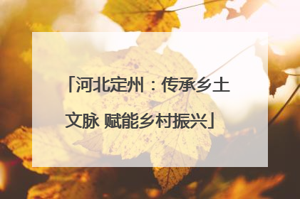 河北定州：传承乡土文脉 赋能乡村振兴