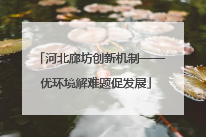 河北廊坊创新机制——优环境解难题促发展