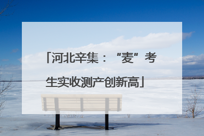 河北辛集：“麦”考生实收测产创新高