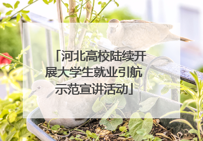 河北高校陆续开展大学生就业引航示范宣讲活动