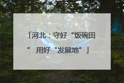 河北：守好“饭碗田” 用好“发展地”