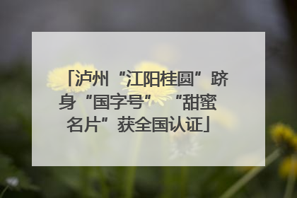 泸州“江阳桂圆”跻身“国字号” “甜蜜名片”获全国认证