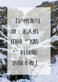 泸州龙马潭：无人机田间“飞防” 科技助农保丰收