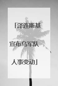 泽连斯基宣布乌军队人事变动