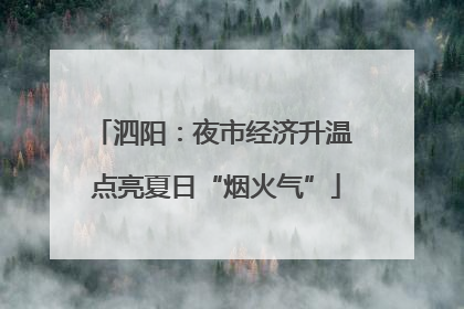 泗阳：夜市经济升温 点亮夏日“烟火气”