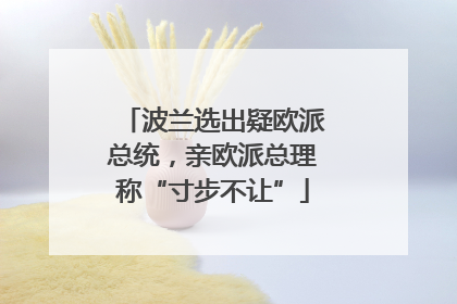 波兰选出疑欧派总统，亲欧派总理称“寸步不让”