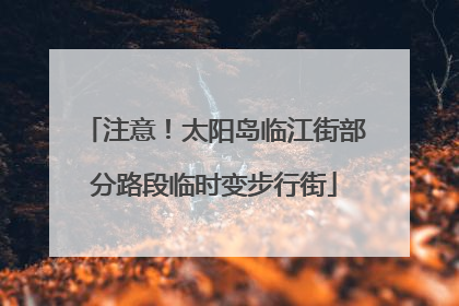 注意！太阳岛临江街部分路段临时变步行街
