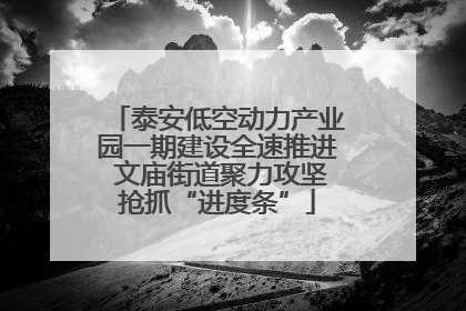 泰安低空动力产业园一期建设全速推进 文庙街道聚力攻坚抢抓“进度条”