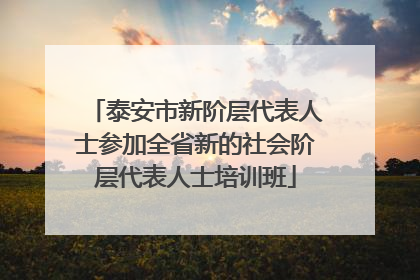 泰安市新阶层代表人士参加全省新的社会阶层代表人士培训班