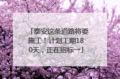 泰安这条道路将要施工！计划工期180天，正在招标→