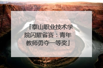 泰山职业技术学院闪耀省赛：青年教师勇夺一等奖