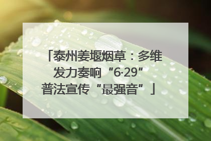 泰州姜堰烟草：多维发力奏响“6·29”普法宣传“最强音”