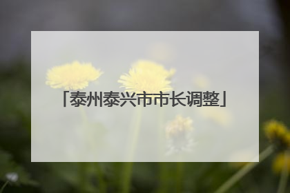泰州泰兴市市长调整